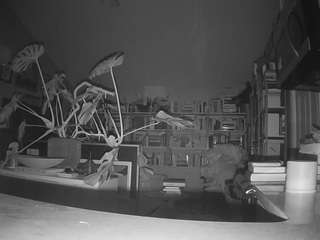 voyeurcam-bridgetleewalters-02