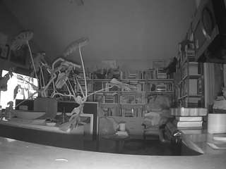 voyeurcam-bridgetleewalters-02