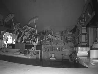 voyeurcam bridgetleewalters 02