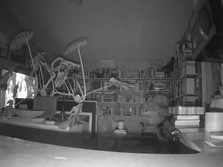 voyeurcam-bridgetleewalters-02