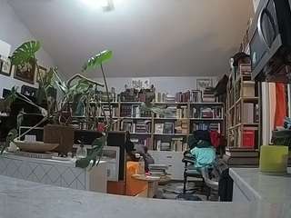 voyeurcam-bridgetleewalters-02 webcam model