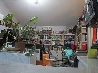 voyeurcam-bridgetleewalters-02