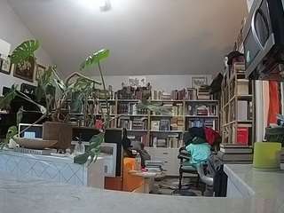 voyeurcam-bridgetleewalters-02 Live Webcam on CamSoda