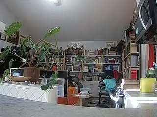 voyeurcam-bridgetleewalters-02