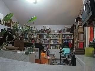 voyeurcam-bridgetleewalters-02