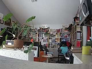 voyeurcam-bridgetleewalters-02