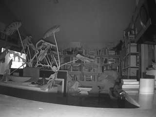 voyeurcam-bridgetleewalters-02