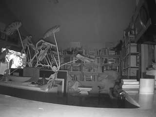 voyeurcam-bridgetleewalters-02