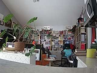 voyeurcam-bridgetleewalters-02