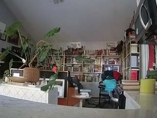 voyeurcam-bridgetleewalters-02