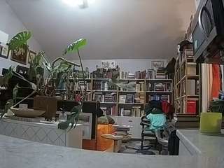 voyeurcam-bridgetleewalters-02