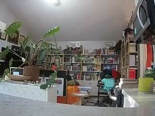 voyeurcam-bridgetleewalters-02