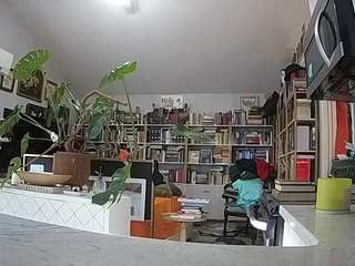 voyeurcam-bridgetleewalters-02