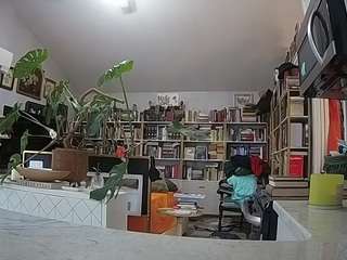 voyeurcam-bridgetleewalters-02