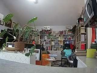 voyeurcam-bridgetleewalters-02