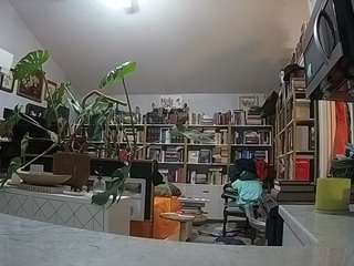 voyeurcam-bridgetleewalters-02