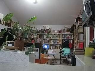 voyeurcam-bridgetleewalters-02
