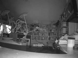 voyeurcam-bridgetleewalters-02