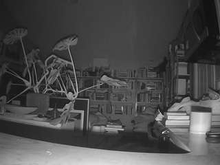 voyeurcam-bridgetleewalters-02