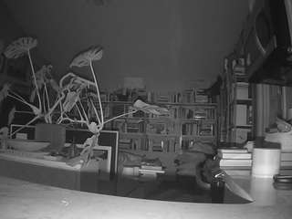 voyeurcam-bridgetleewalters-02 - Live HD Webcam