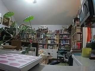 voyeurcam bridgetleewalters 02