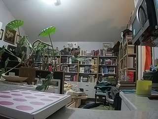 voyeurcam-bridgetleewalters-02 webcam model