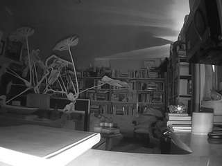 voyeurcam-bridgetleewalters-02