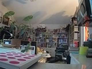 voyeurcam-bridgetleewalters-02