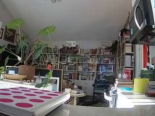 voyeurcam-bridge... Live Webcam on CamSoda