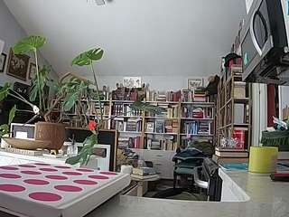 voyeurcam-bridge... Live Webcam on CamSoda