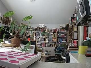 voyeurcam-bridge... Live Webcam on CamSoda