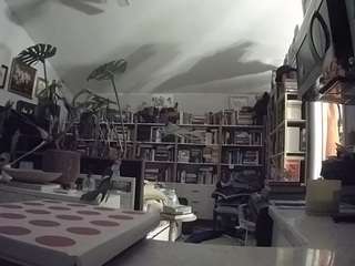 voyeurcam-bridgetleewalters-02