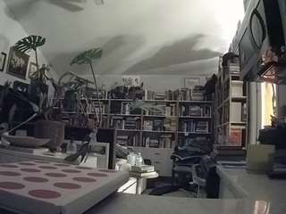 voyeurcam-bridgetleewalters-02