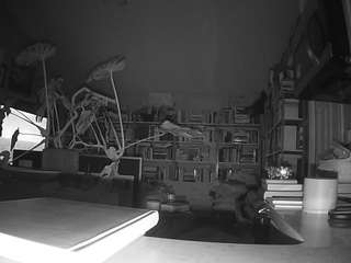 voyeurcam-bridgetleewalters-02