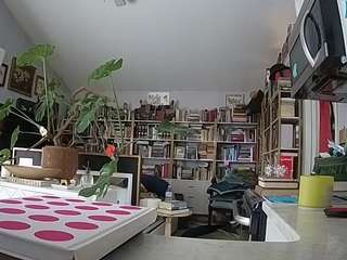 voyeurcam-bridgetleewalters-02