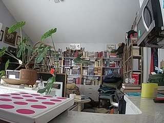 voyeurcam-bridgetleewalters-02