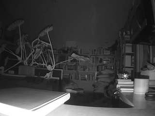 voyeurcam-bridgetleewalters-02