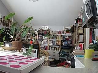 voyeurcam-bridgetleewalters-02