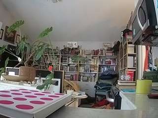 voyeurcam bridgetleewalters 02