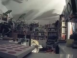voyeurcam-bridgetleewalters-02