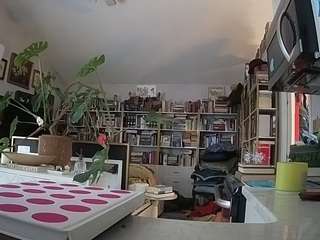 voyeurcam bridgetleewalters 02