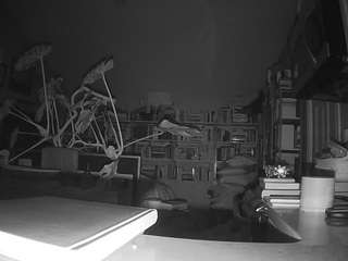 voyeurcam-bridgetleewalters-02