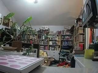 voyeurcam-bridgetleewalters-02