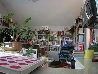 voyeurcam bridgetleewalters 02