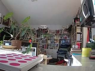 voyeurcam-bridgetleewalters-02