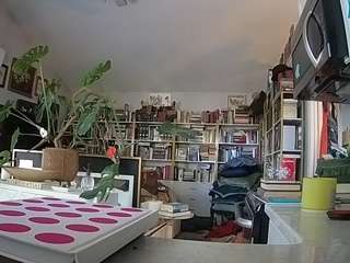 voyeurcam-bridgetleewalters-02