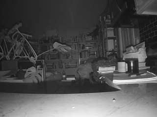 voyeurcam bridgetleewalters 02