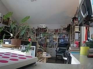 voyeurcam-bridgetleewalters-02