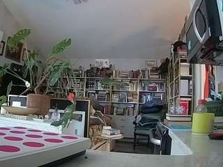 voyeurcam-bridgetleewalters-02