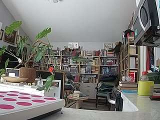 voyeurcam-bridgetleewalters-02